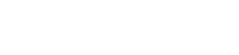 Thomas Hamann und Partner